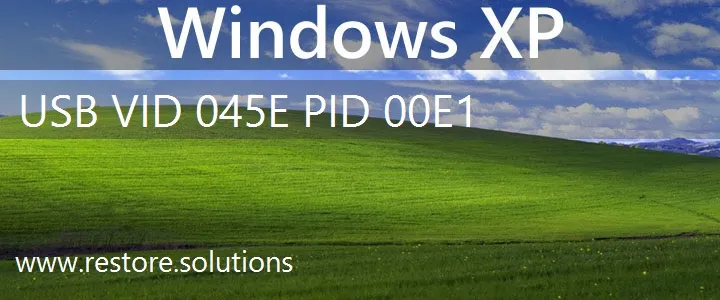 USB\VID_045E&PID_00E1 Windows XP Drivers