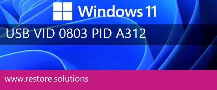 USB\VID_0803&PID_A312 Windows 11 Drivers