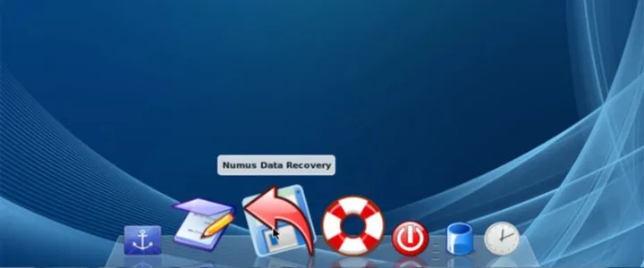 Data Recovery Disk Screen