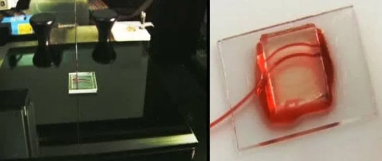 3D Human Tissue Printer