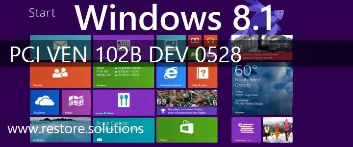 PCI\VEN_102B&DEV_0528 Windows 8.1 Drivers