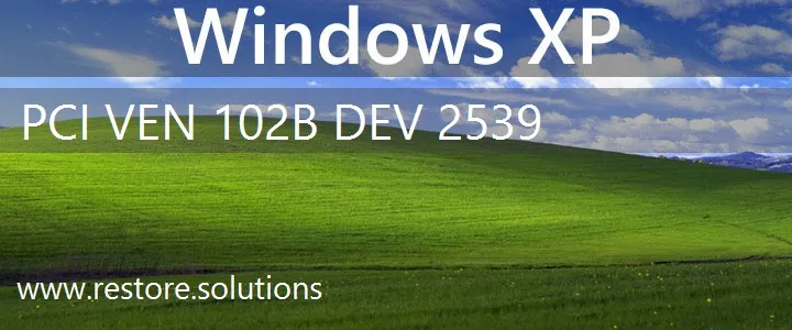 PCI\VEN_102B&DEV_2539 Windows XP Drivers